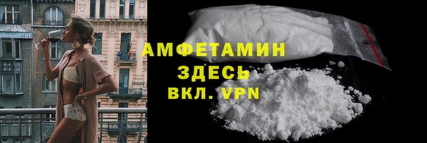 индика Арсеньев