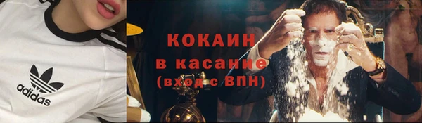 индика Арсеньев