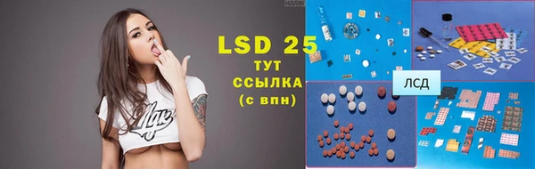 индика Арсеньев