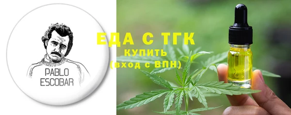 индика Арсеньев