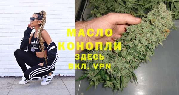 индика Арсеньев