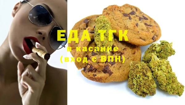 индика Арсеньев