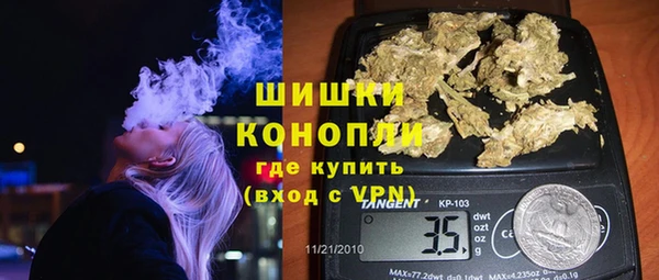 индика Арсеньев