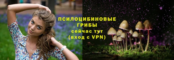 индика Арсеньев