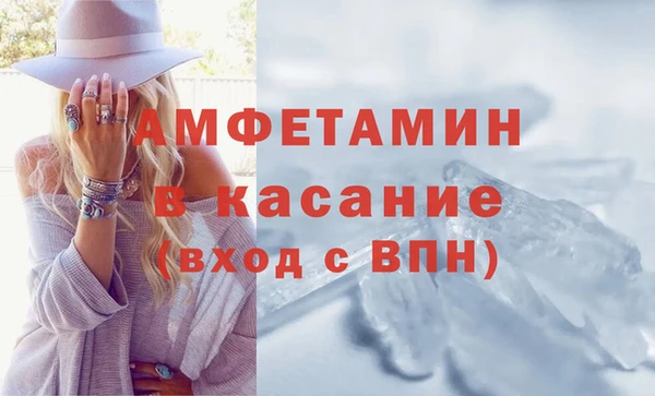 индика Арсеньев